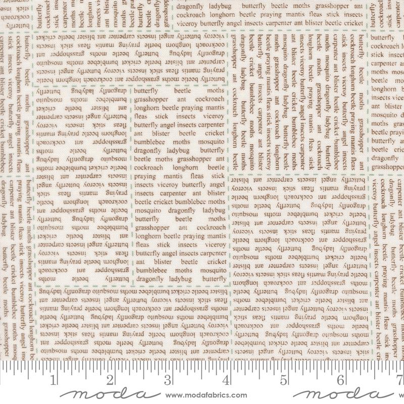 Bug Collector In The News Cloud Dirt