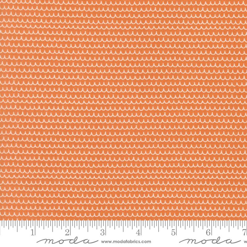 Bug Collector Squiggles Orange