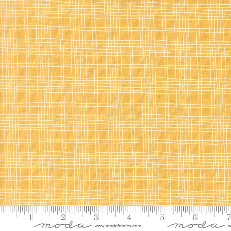 Bug Collector Plaid Sunshine
