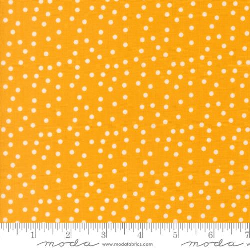 Makers Delight Chrome Small Dot