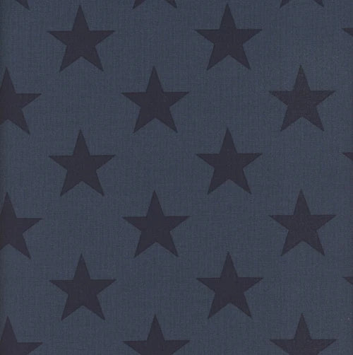 Fredericksburg Revisited Star Spangled Faded
