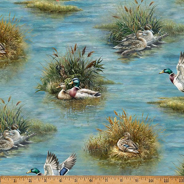 Lakeside Echo Lake Ducks
