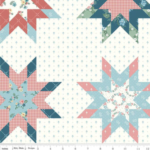 Mary Catherine Star Cheater Print Multi