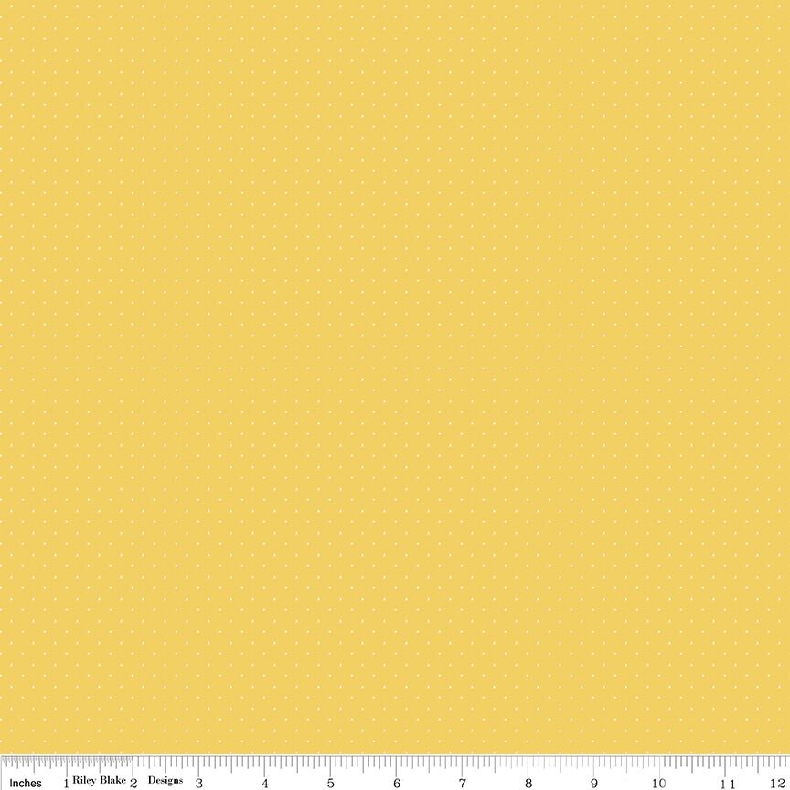 American Jane Pindots Canary