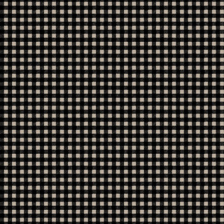 Pumpkin Grove Gingham - Black