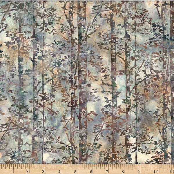 Earl Grey Birch Trees