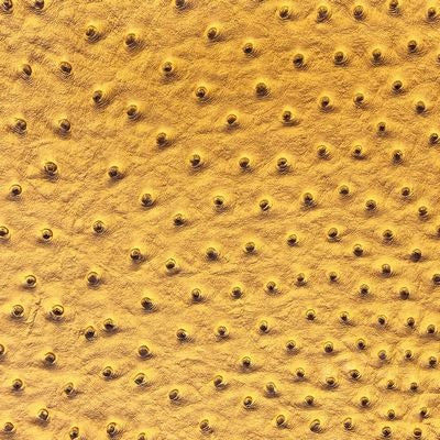 Faux Ostrich- Goldenrod 18 in x 54 in