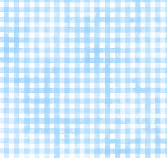 Sorbet Flannel Blue Gingham