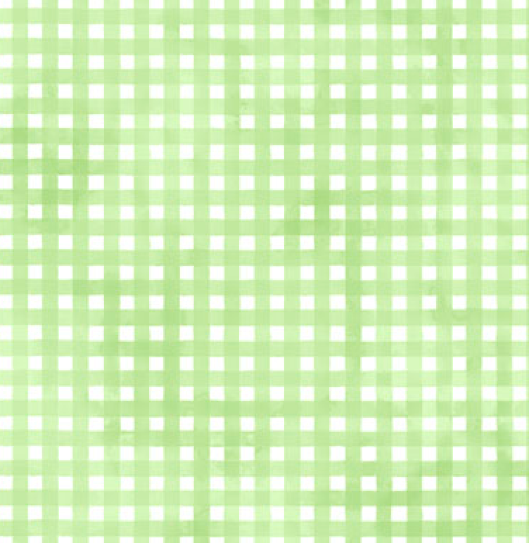 Sorbet Flannel Green Gingham