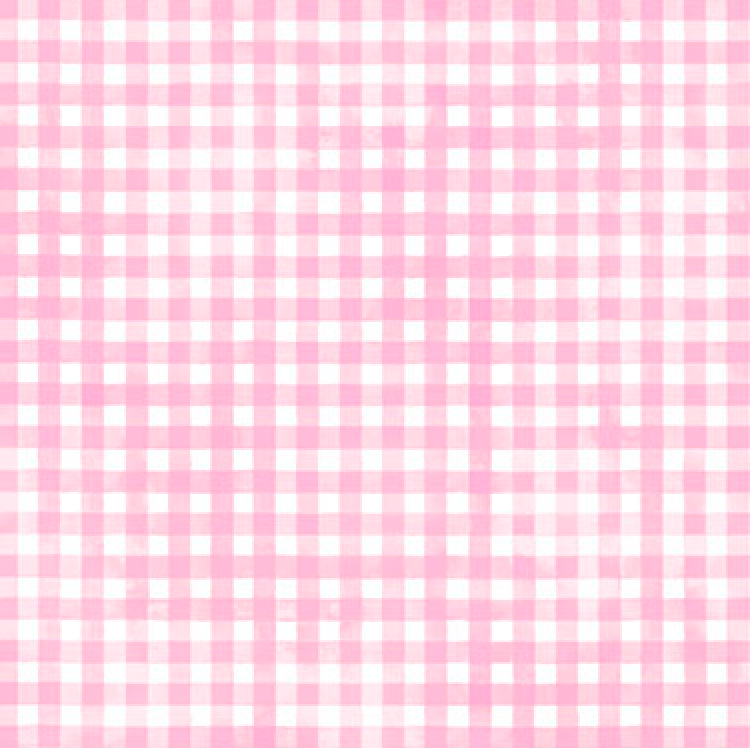 Sorbet Flannel Pink Gingham