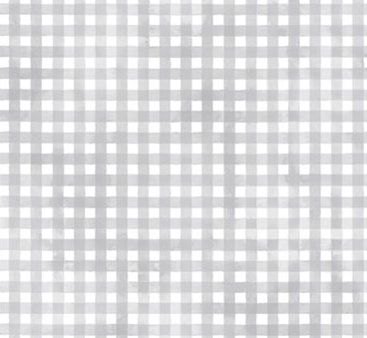 Sorbet Flannel Cloud Gingham