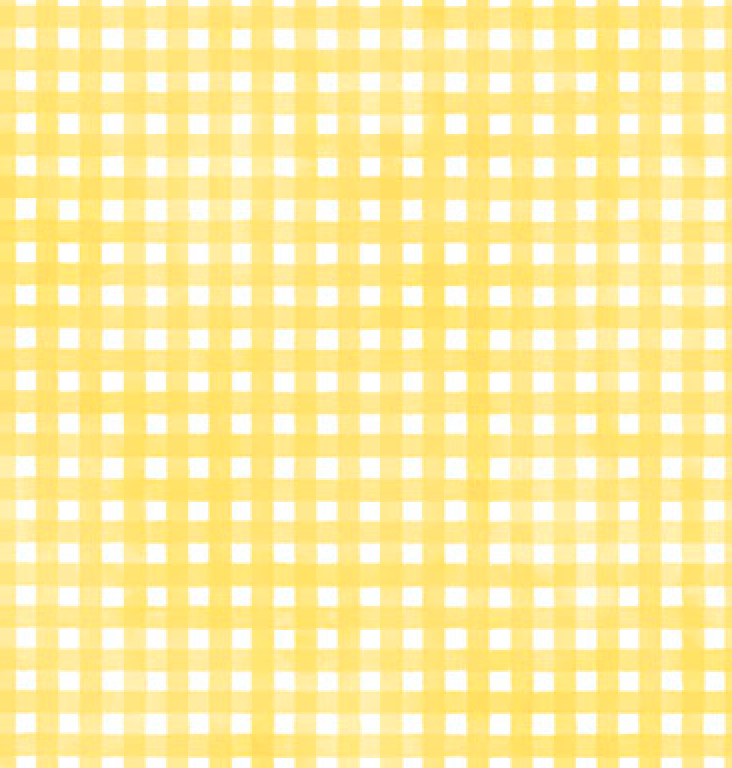 Sorbet Flannel Sunshine Gingham
