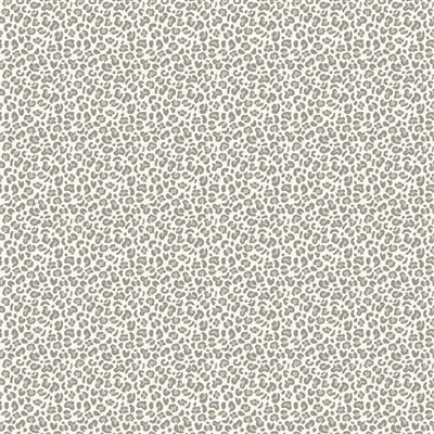 Shhh... Leopard - Dark Gray