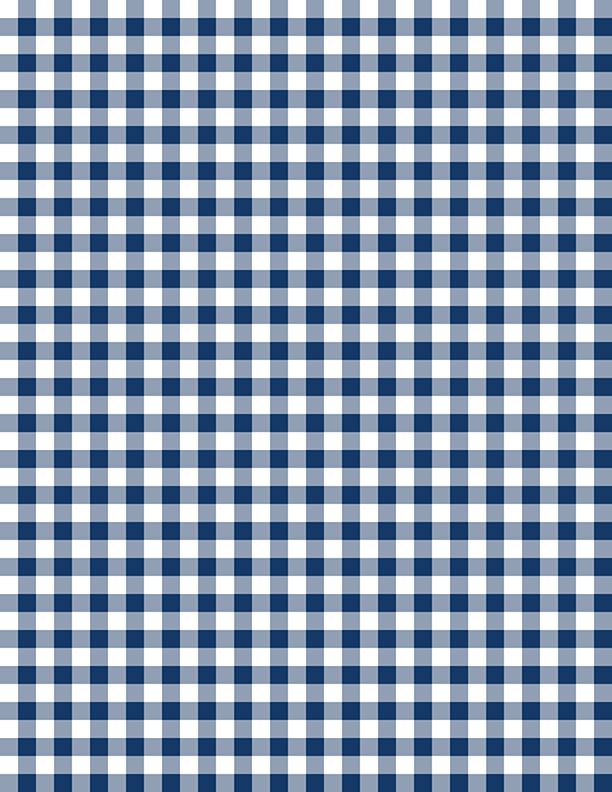 Gingham White/Navy