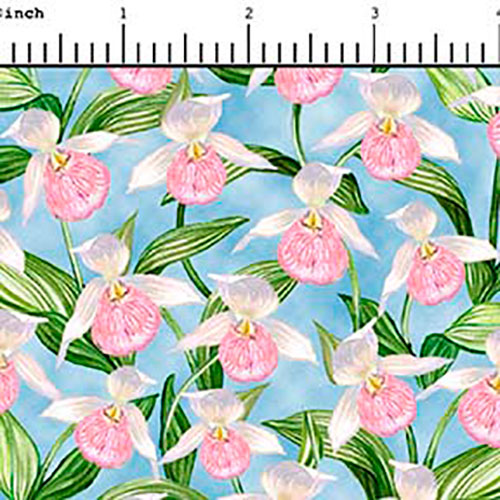 Blue Minky Minnesota State Flower Allover