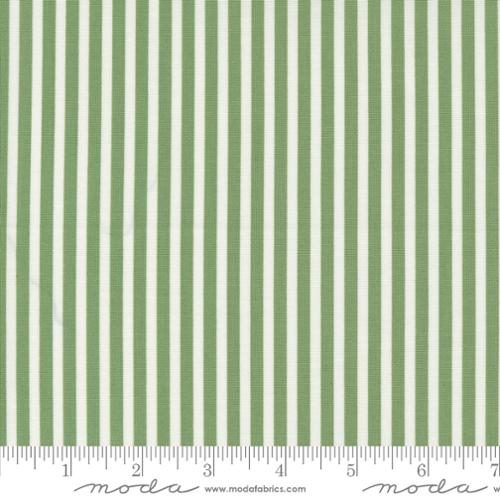 Green Simple Stripe