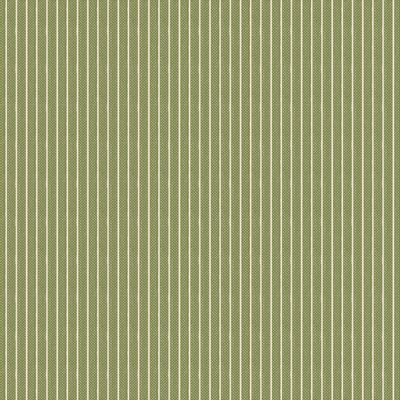 Woven Stripe Green