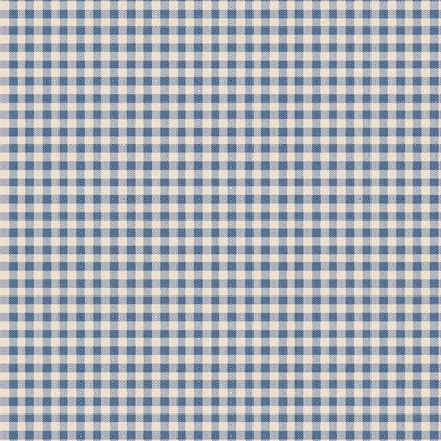 Woven Gingham Blue