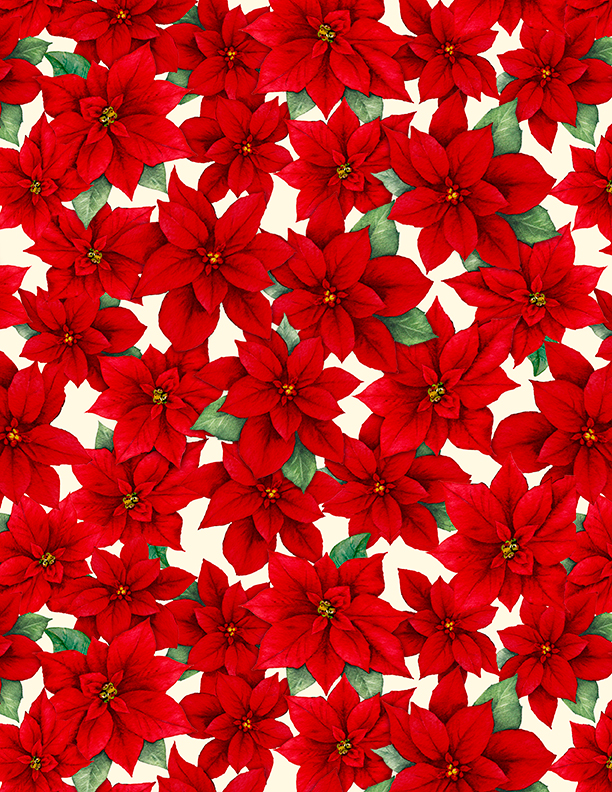 Packed Poinsettias Cream