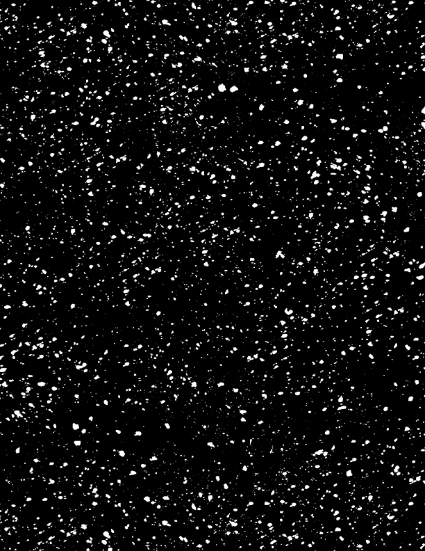 Snow All Over Black