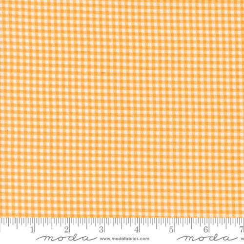 Orangesicle Gingham