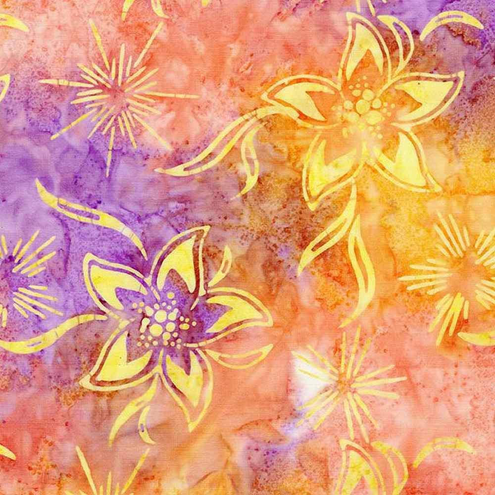 Sunset Tropical Flowers/Starb