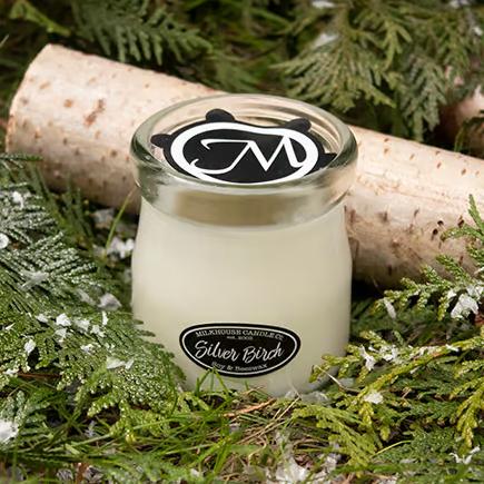 Cream Jar Silver Birch