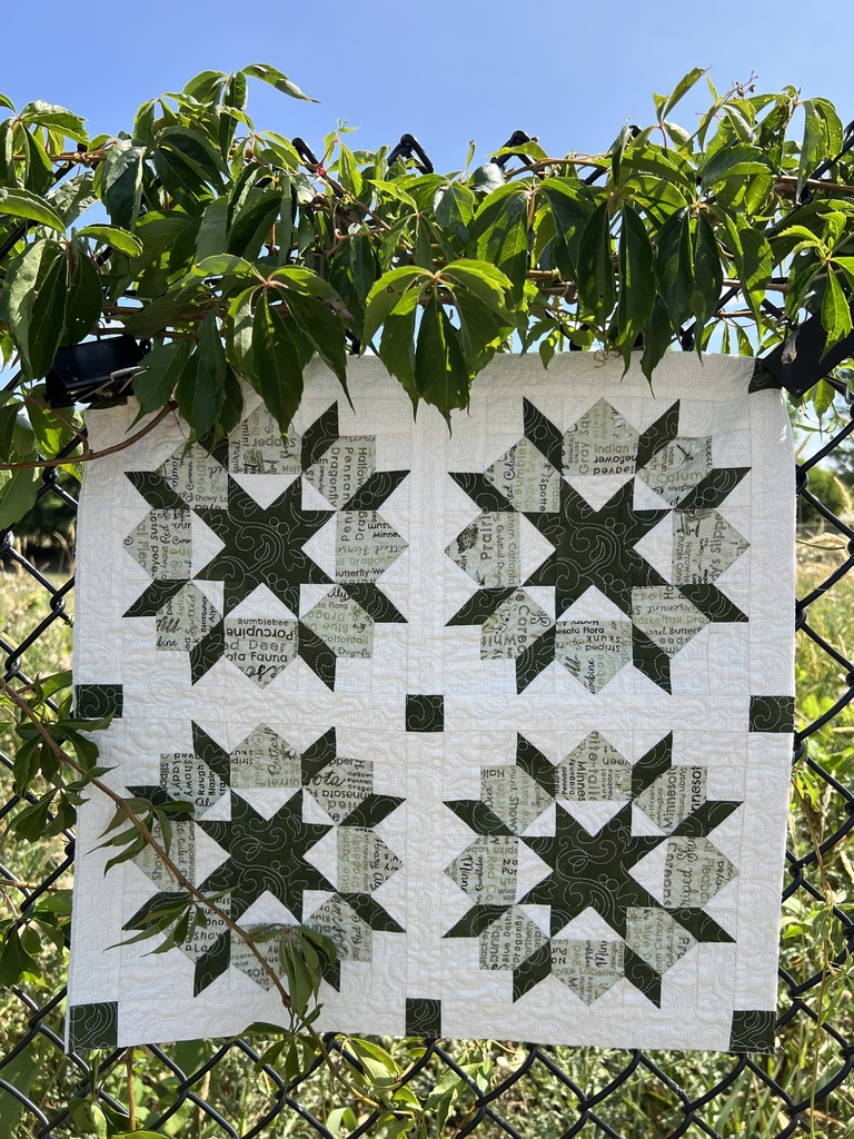 Quilt MN Kit - Swoon 19" x 19" Includes pattern