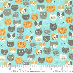 Fabrics / Here Kitty Kitty by Stacy Iest Hsu for Moda