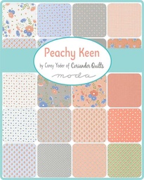 Fabrics / Peachy Keen by Corey Yoder for Moda
