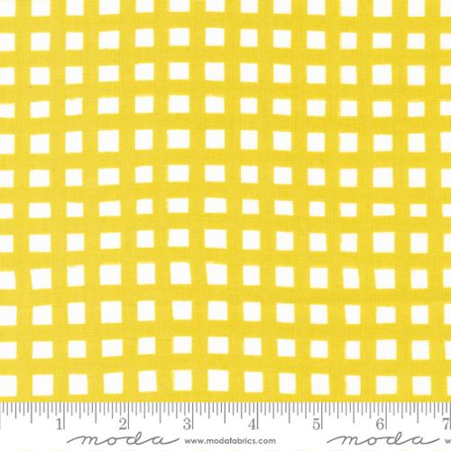 [24604-13] Buttercup Check