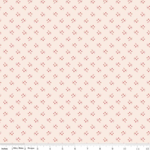 [C14404-CORAL] Reminisce Background Coral