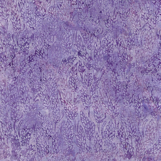 [112318405] Purple Lavender Lavender