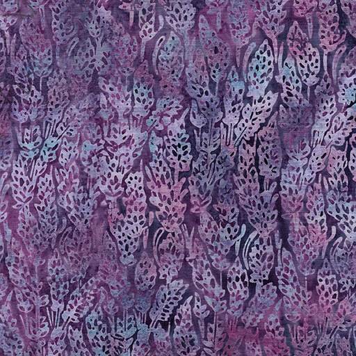 [112318460] Purple Hyacinth Lavender