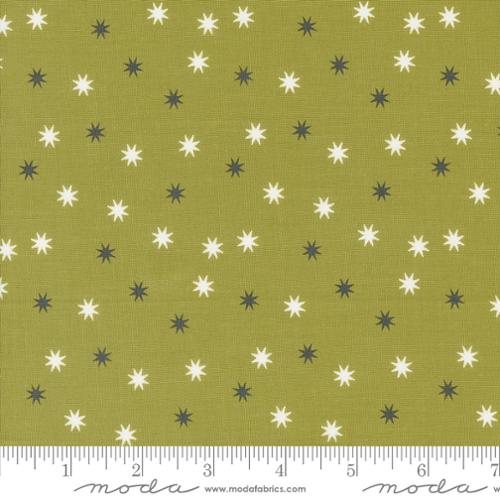 [5215-17] Witchy Green Practical Magic Stars
