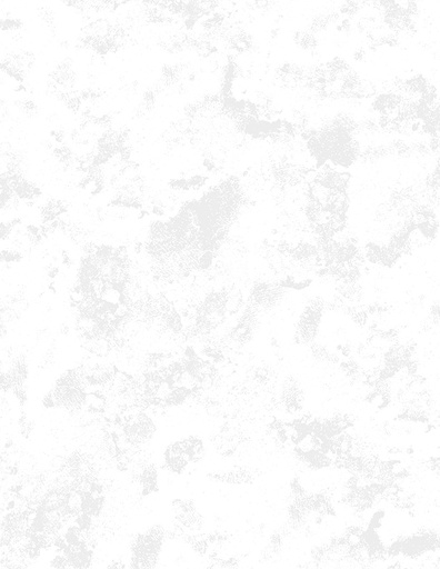 [4557-100] 108" Haze White on White