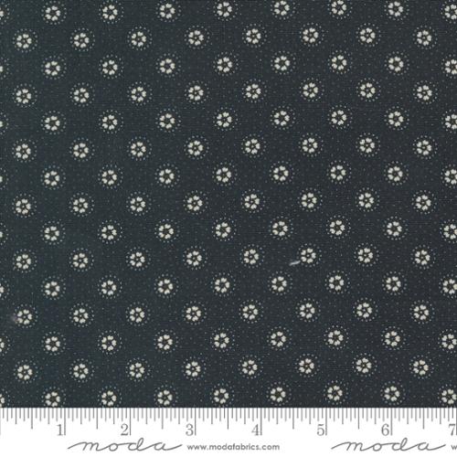 [9752-19] Black Daisies & Dots