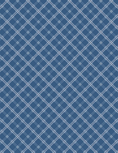 [40053-414] Plaid Navy