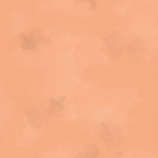 [C2970-APRICOT] Apricot Brushstroke