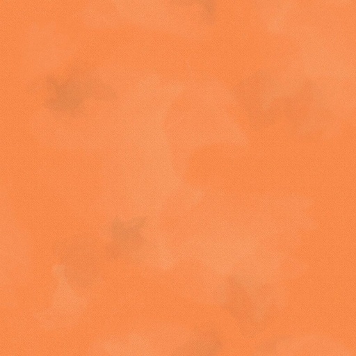 [C2970-CORAL] Coral Brushstroke