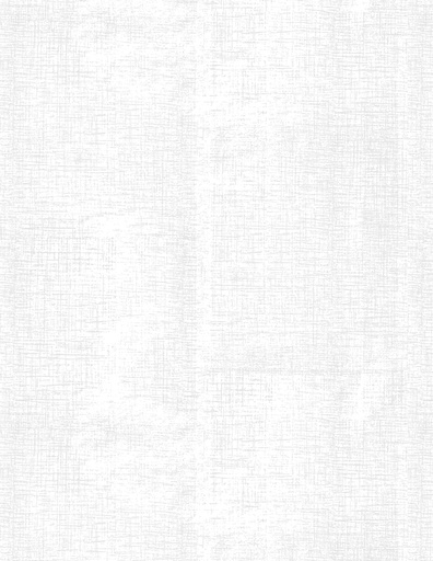 [39851-100] Canvas Texture White on White