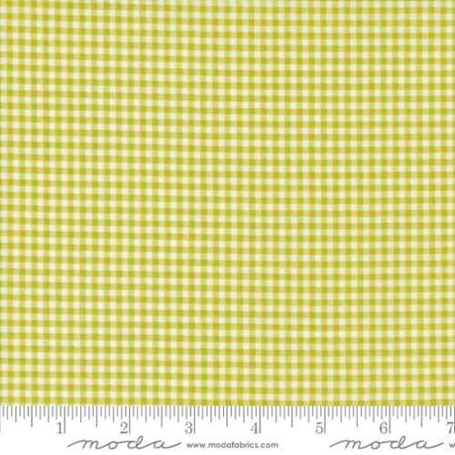 [55676-16] Grass Gingham