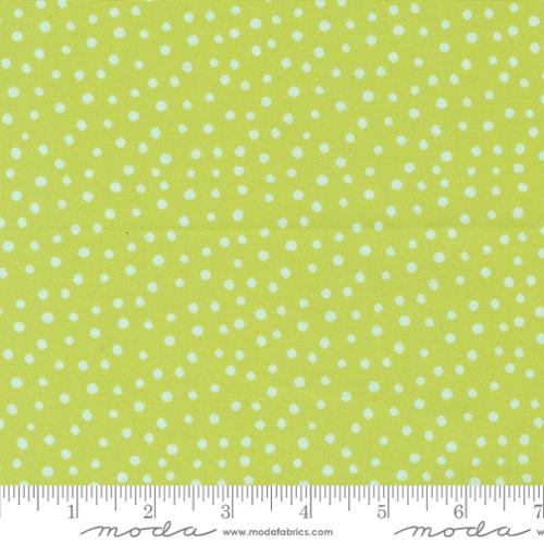 [21829-18] Limeade Dotty