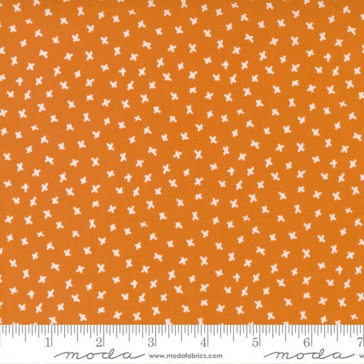 [47534-13] Orange X Marks the Spot