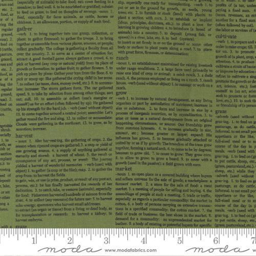 [55604-24] Green Newsprint