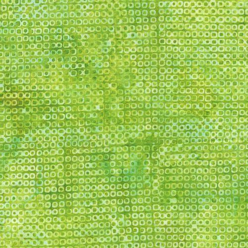 [112223630] Green Lemongrass Shabori