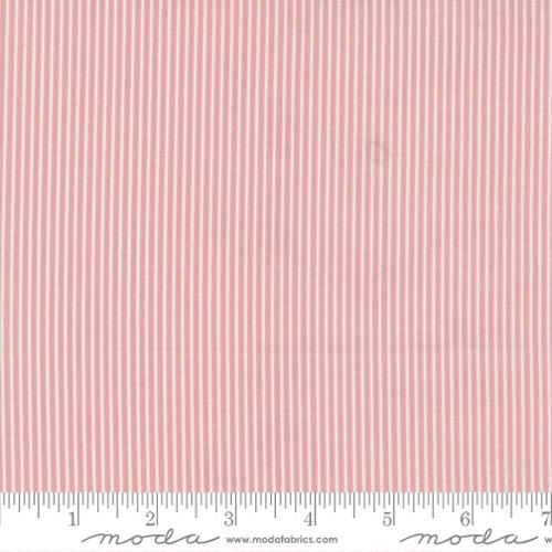 [55287-19] Stripes Coral