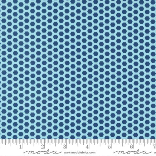 [24156-15] Blueberry Honeycomb
